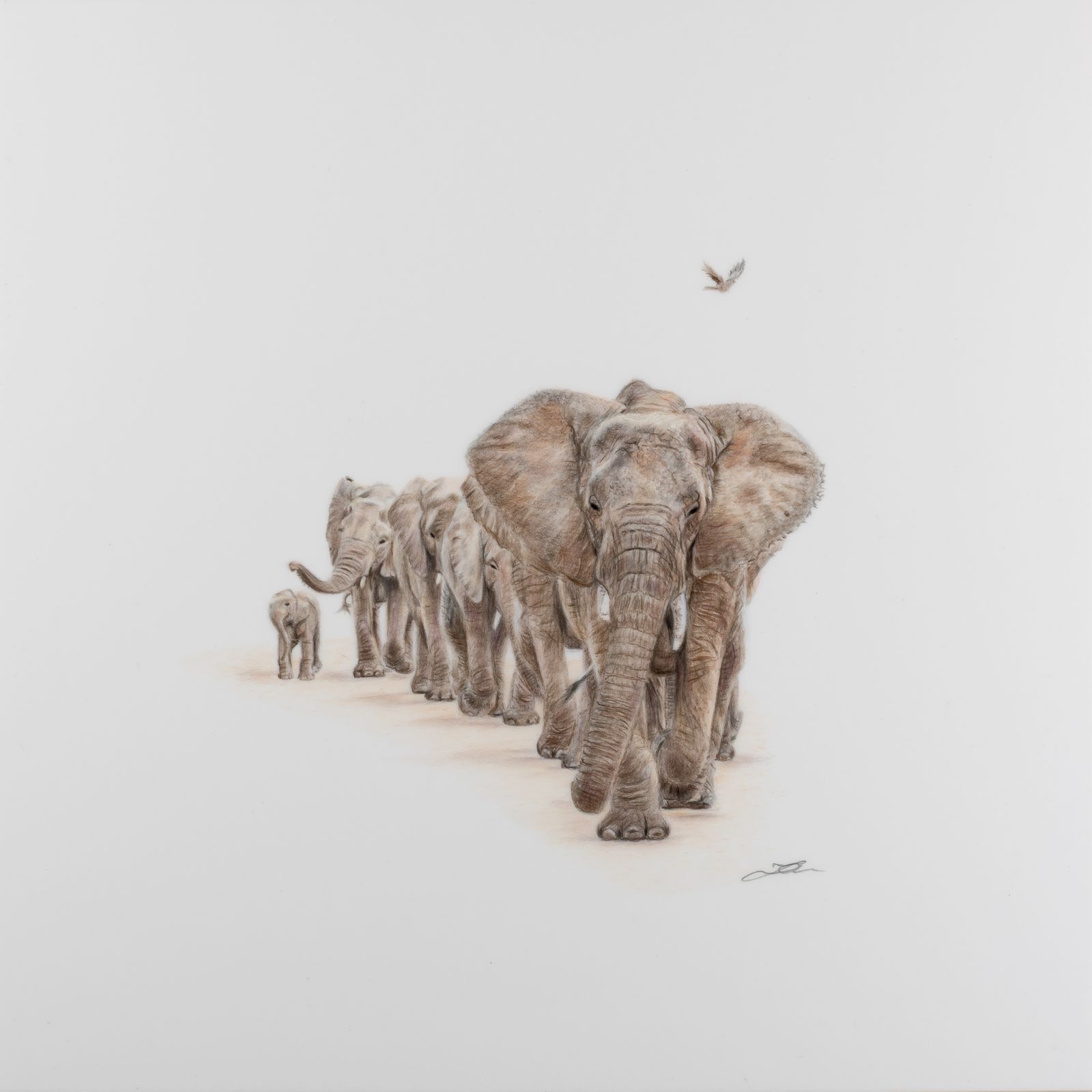 Fine Art Prints