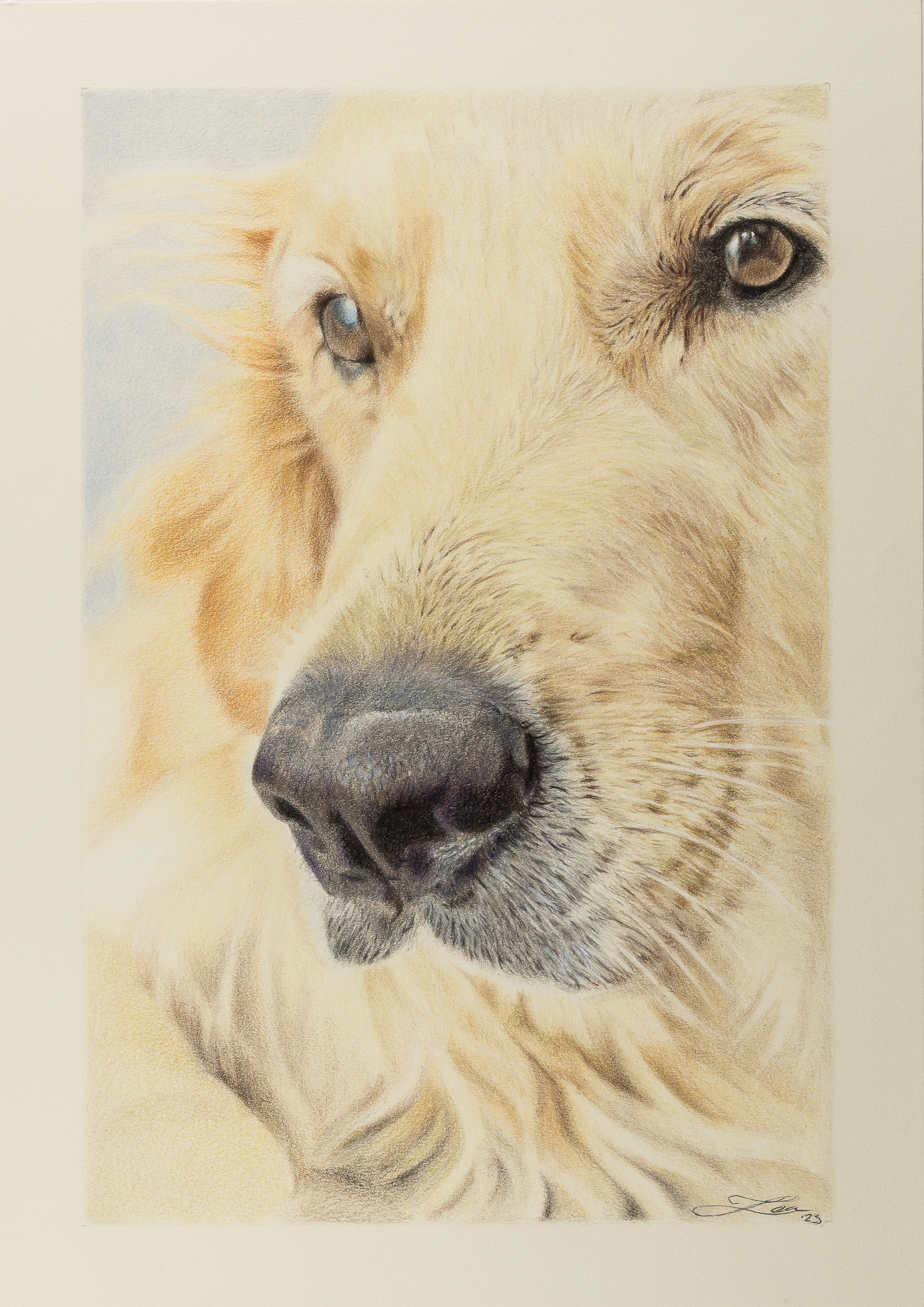 Golden hour - Original Lightfast Coloured Pencil