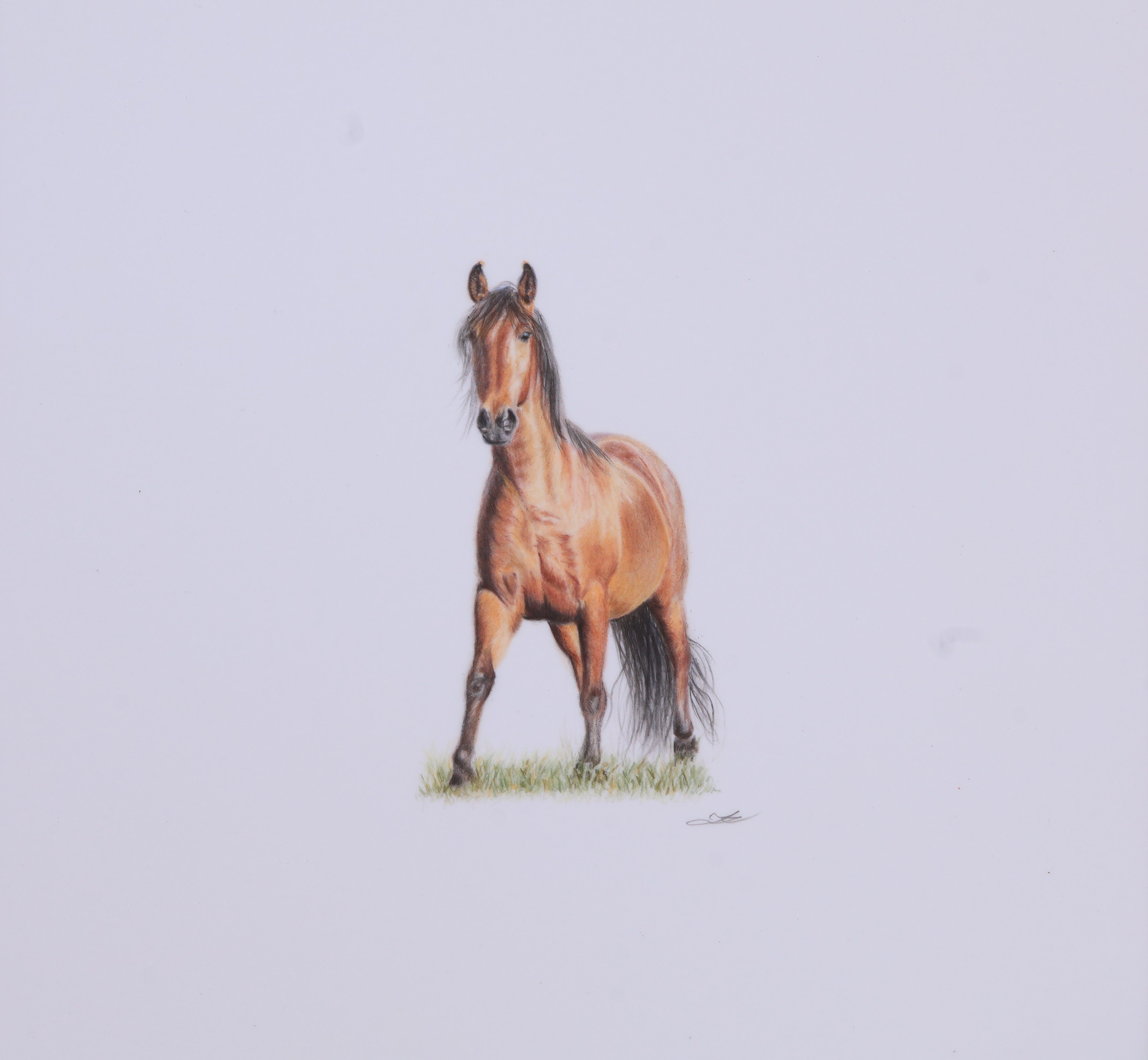 Presence - Limited Edition Print