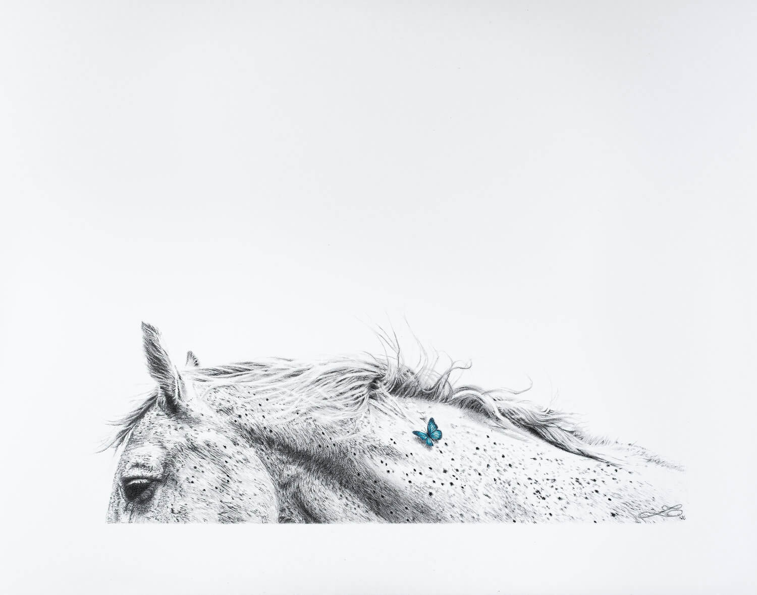 Closeness - Limited Edition Print