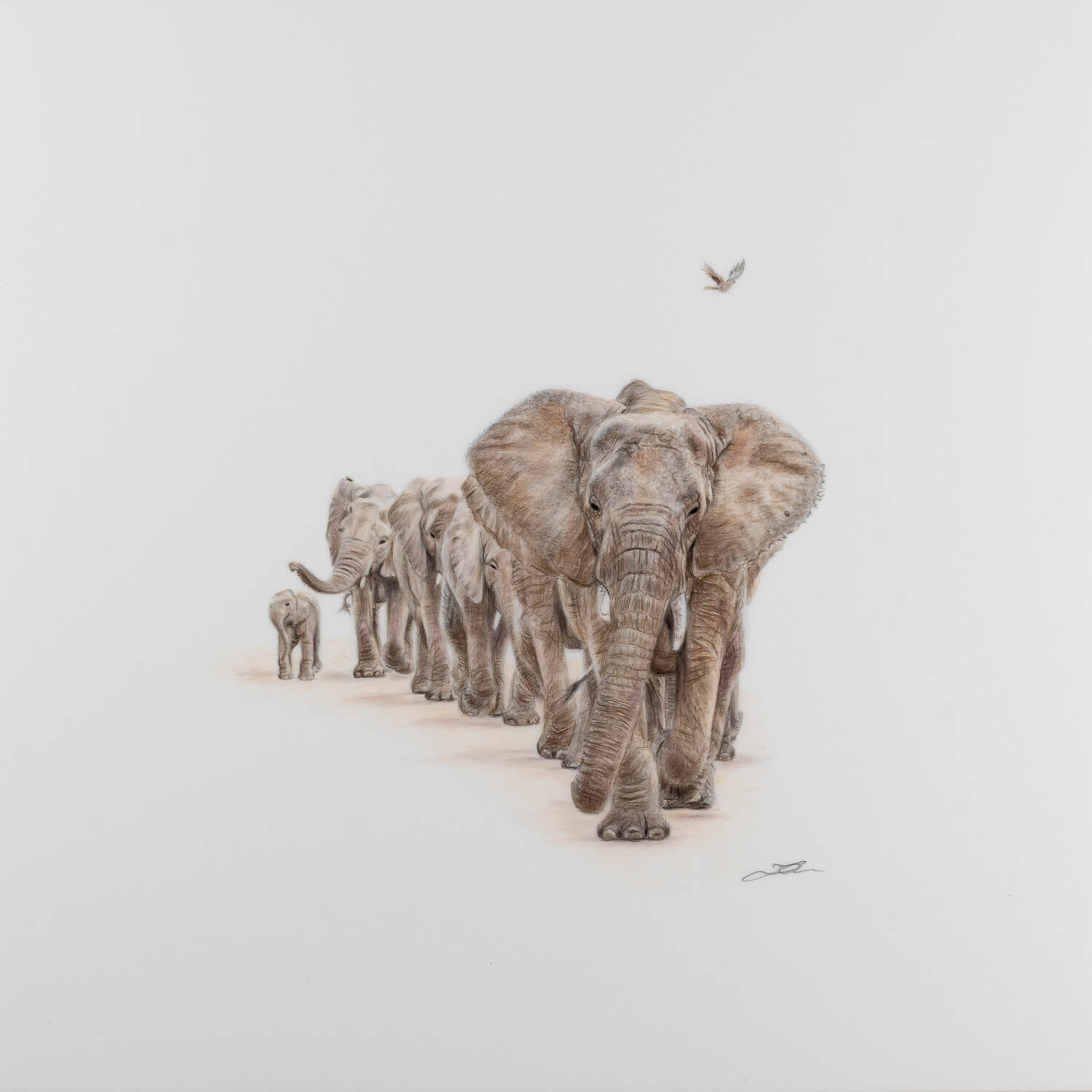 Fine Art Prints