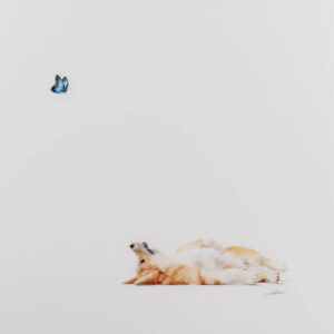 Miles away Print