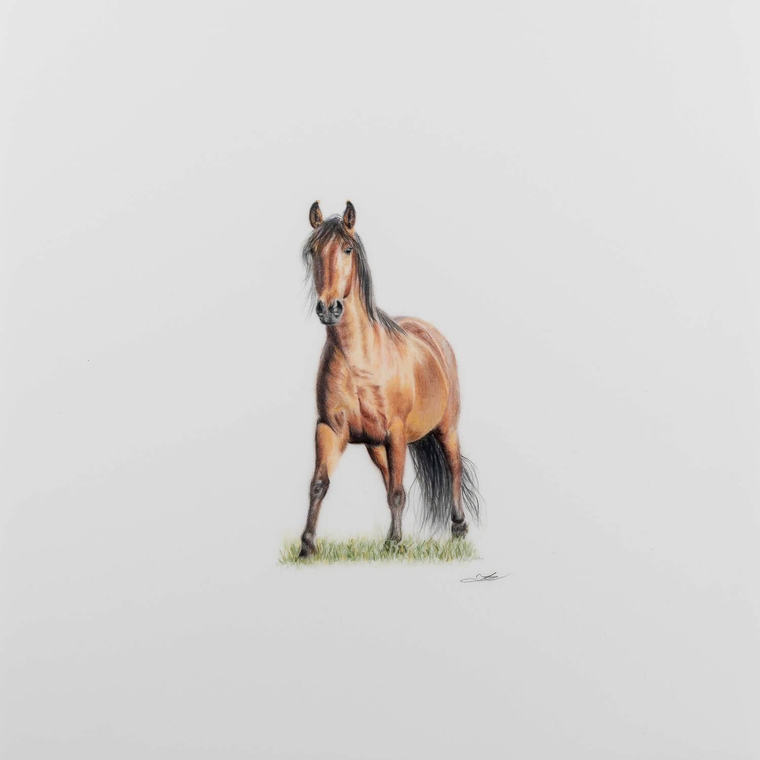 Presence - Limited Edition Print
